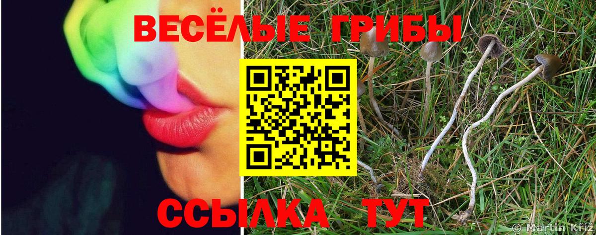 Галлюциногенные грибы мицелий Старый Оскол