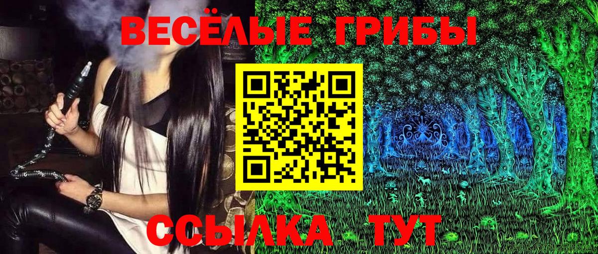 Старый Оскол  Псилоцибиновые грибы GOLDEN TEACHER  Вход с VPN 